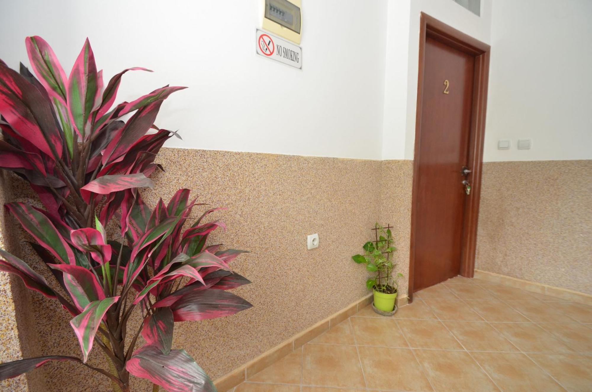 Apartments Mir I Dobro Kotor Exterior photo